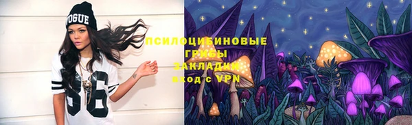 тгк Дмитров