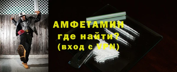 индика Дмитриев