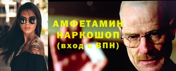 индика Дмитриев