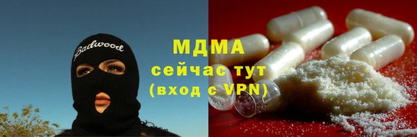 индика Дмитриев