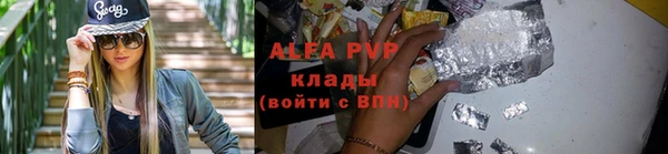индика Дмитриев