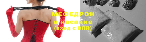 стаф Ельня