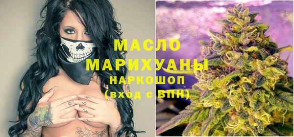 индика Дмитриев