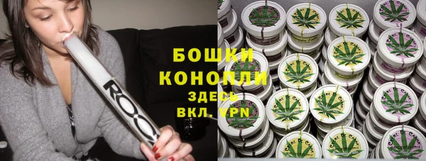 тгк Дмитров