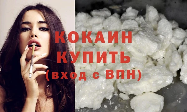 стаф Ельня