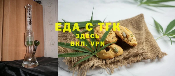 индика Дмитриев