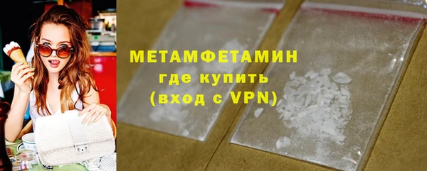 индика Дмитриев