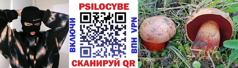 Псилоцибиновые грибы мухоморы  hydra tor  Каргополь 