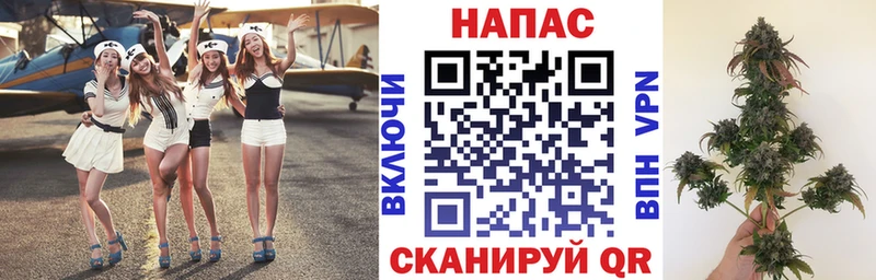 Каннабис VHQ Каргополь